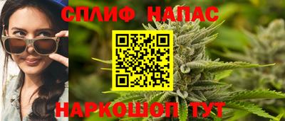 стаф Тара