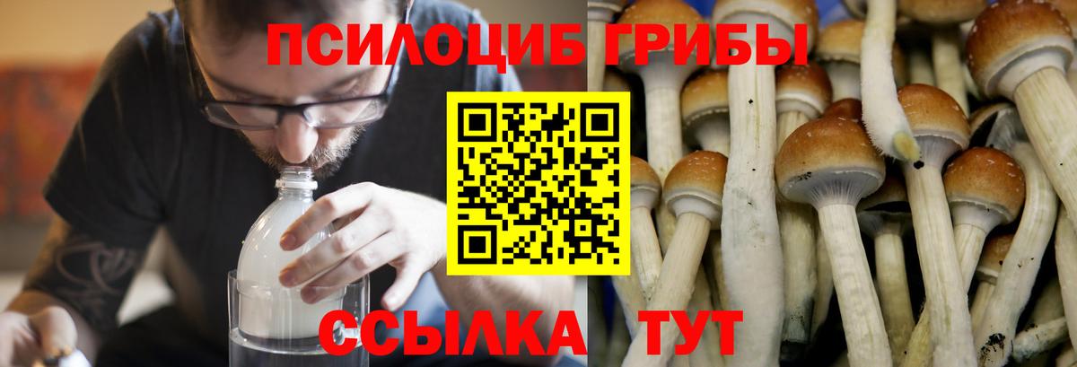 Псилоцибиновые грибы мицелий Нефтекамск
